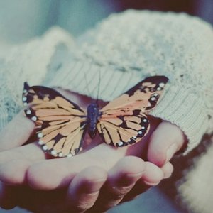 幼女freee性zozO性
